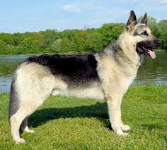 Граф (архив) Граф (архив)