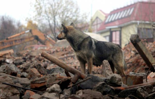 ***
Холод пробирал до ***
Холод пробирал до