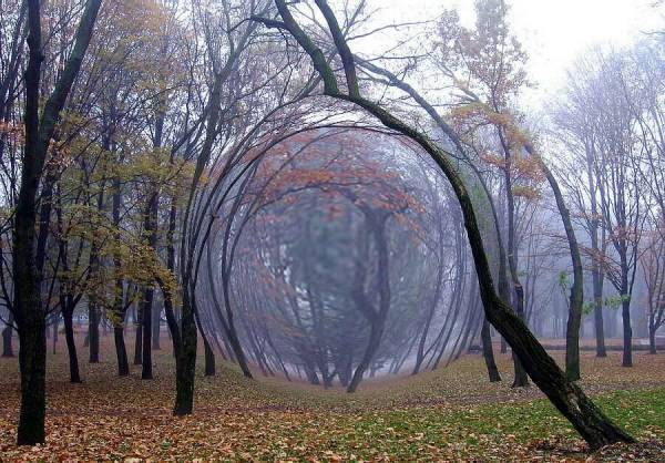 Мистический сюр...
Это Мистический сюр...
Это