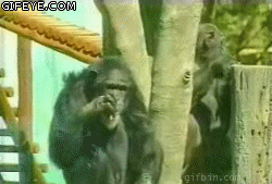 (Тема не указана) (Тема не указана)