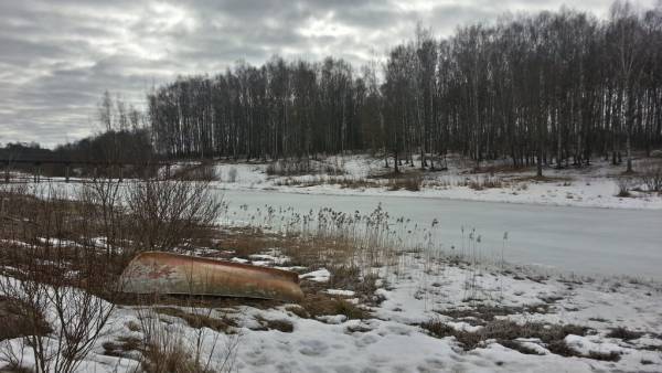 Лучше бы был конкурс своих Лучше бы был конкурс своих
