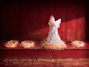 Несколько интересных фактов о животных