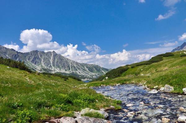Конкурс на красивые фото природы Конкурс на красивые фото природы