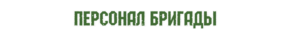 Отдельная Бригада Военных Сталкеров «Буран»