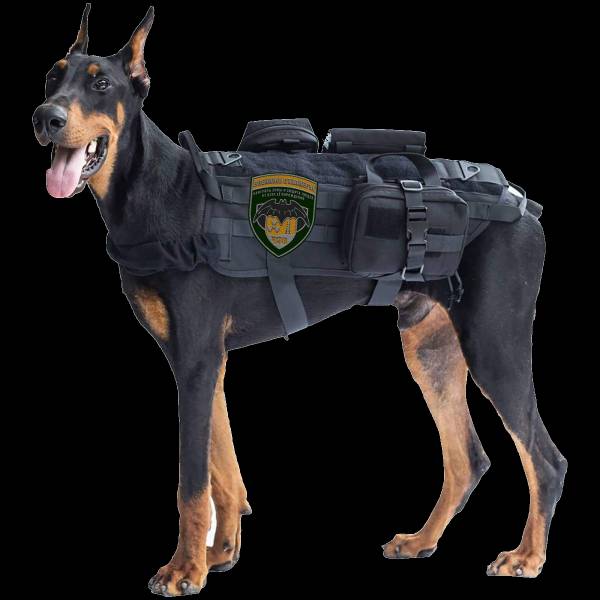 Старшему кинологу КЦ Старшему кинологу КЦ