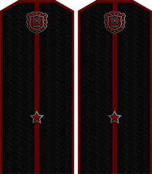 Приказ по группировке №28 от Приказ по группировке №28 от