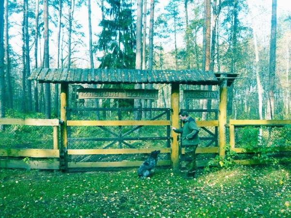 Тренировочный комплекс "Стальной Кулак" (Архив) Тренировочный комплекс "Стальной Кулак" (Архив)