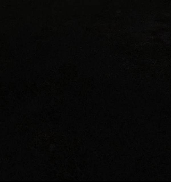 Мой день в Зоне - Хранитель