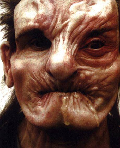 ЖИВОТНЫЙ МИР ЗОНЫ. ЖИВОТНЫЙ МИР ЗОНЫ.