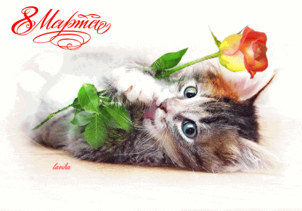 С 8 марта! С 8 марта!