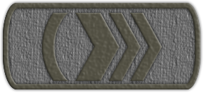 Приказ №19 от 09.06.2021