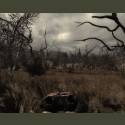 S.T.A.L.K.E.R. Тайные Тропы 2 + Autumn Aurora 2