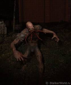 Руины Деревни Руины Деревни