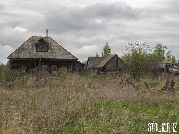 Деревня Гусево Деревня Гусево