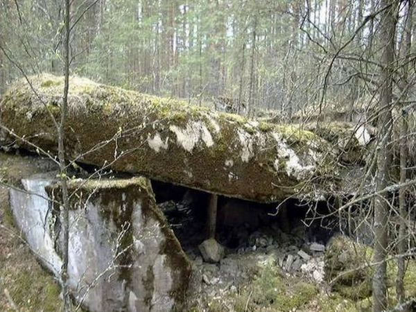 Spoiler: Highlight to view(не Spoiler: Highlight to view(не