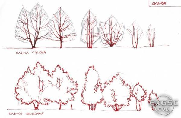 S.T.A.L.K.E.R. 2. По другую сторону Зоны