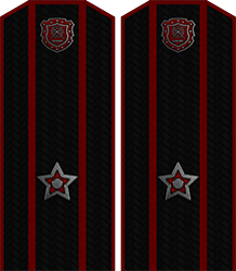 Приказ по группировке №61 от Приказ по группировке №61 от