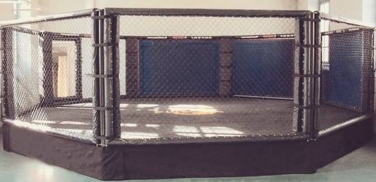 Тренировочный комплекс "Стальной Кулак" (Архив) Тренировочный комплекс "Стальной Кулак" (Архив)