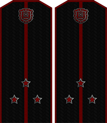 Приказ по группировке №99 от Приказ по группировке №99 от