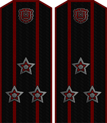 Приказ по группировке №28 от Приказ по группировке №28 от