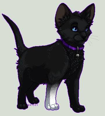 Коты-Воители Коты-Воители