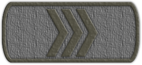 Приказ №19 от 09.06.2021