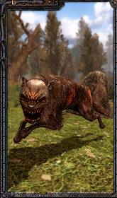 Как все начиналось? Как все начиналось?