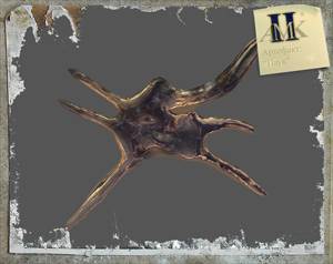 AMK II: С Новым Годом!