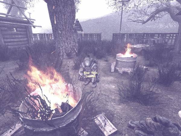 День в зоне или рассказ клыка 