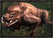 Дом охотника 