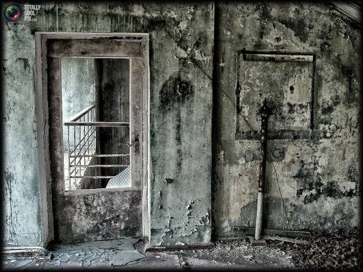 Фото из Припяти