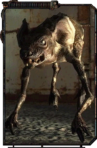 Фото монстров!! (со всей зоны)!