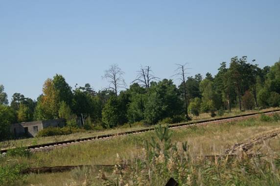 Фотоэкскурсия в Зону Отчуждения.