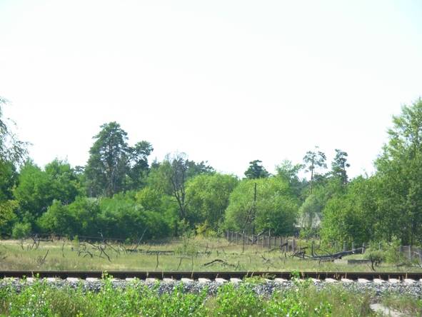 Фотоэкскурсия в Зону Отчуждения.