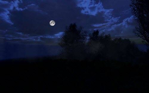 Фотоохота по Зоне. АМК (Обзор модов, новый мод АМК 2.0)