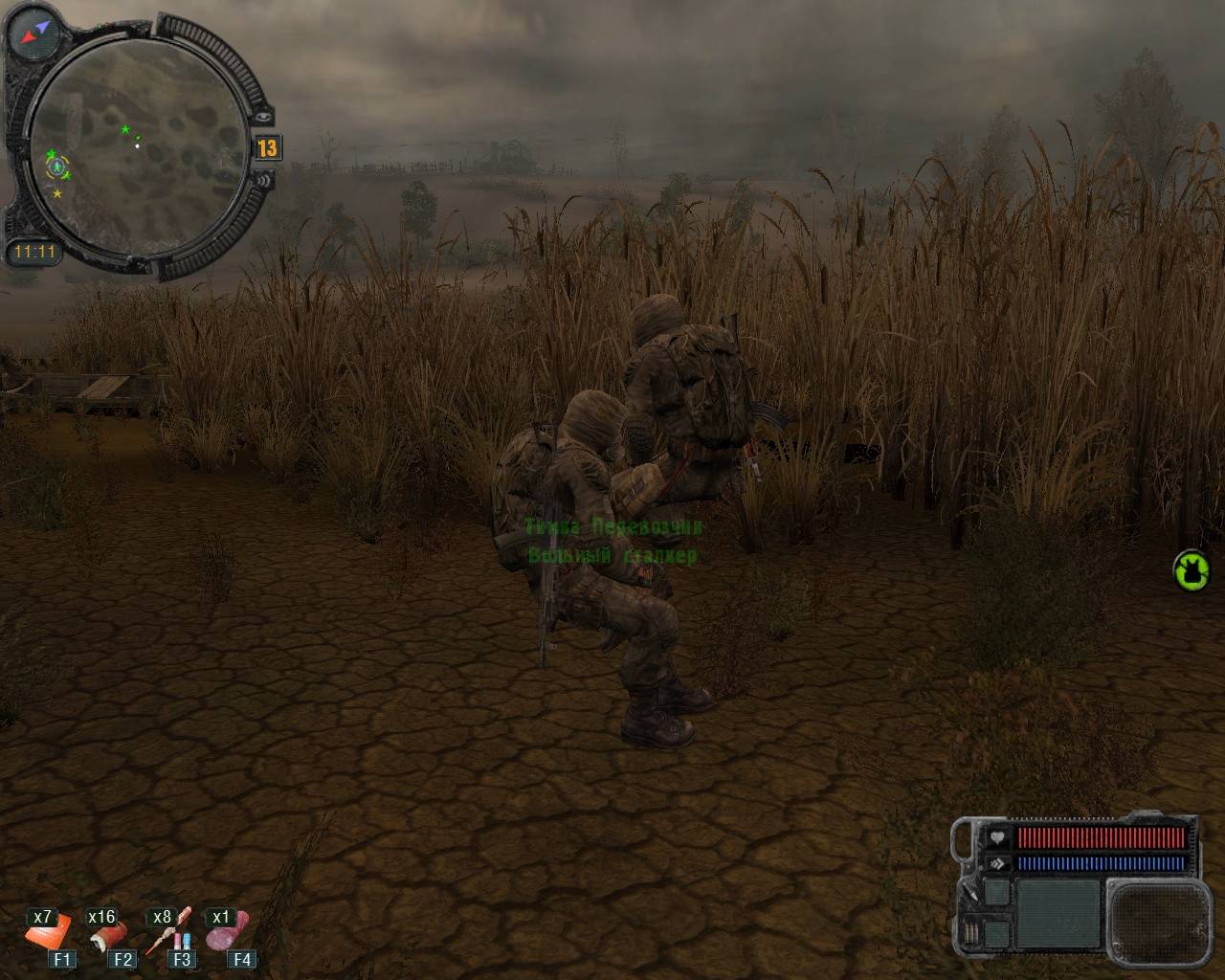 Глюки со сталкера! продолжение 