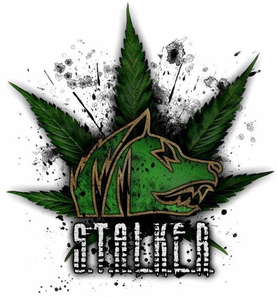 Группировки - такие Группировки