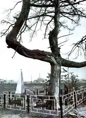 Икона «Чернобыльский спас» Икона «Чернобыльский спас»