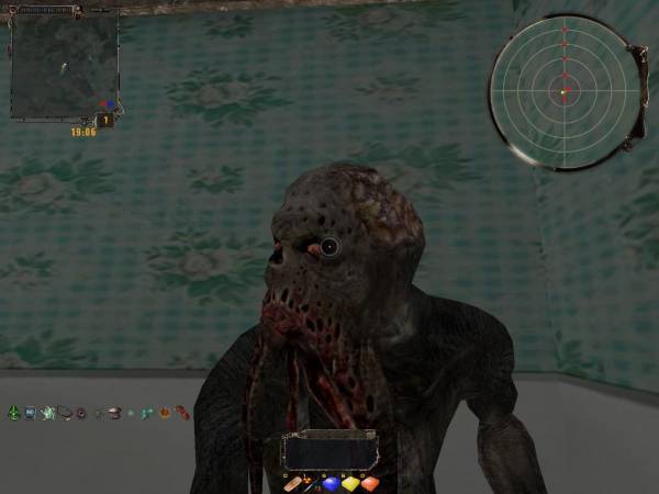 Как я провел день в Зоне после днюхи.