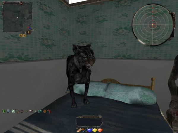 Как я провел день в Зоне после днюхи.