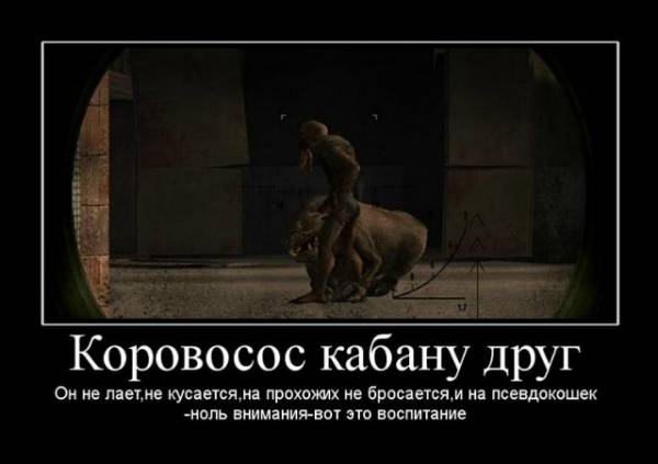 Конкурс демотиваторов. Ура! Финал!