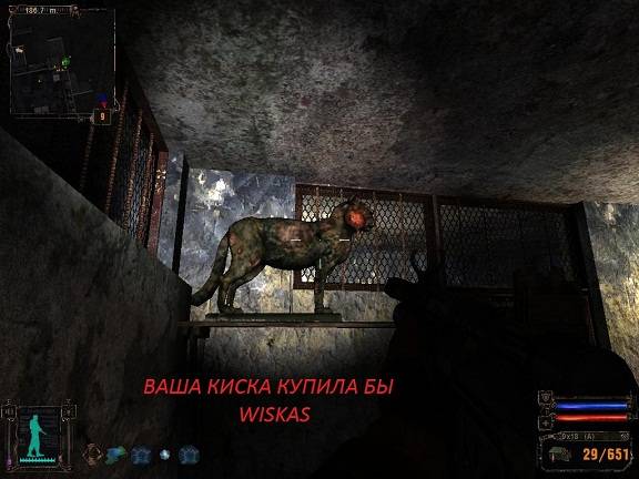 Кореец в зоне 2