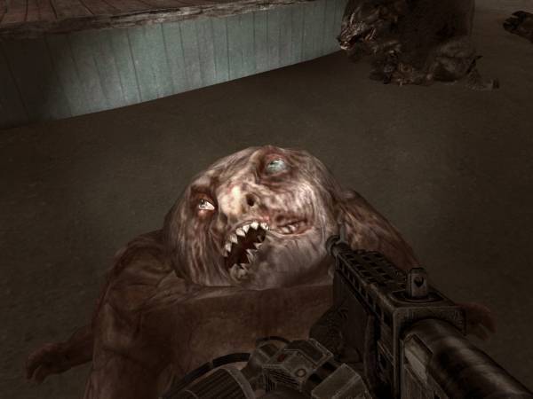 Мои первые скриншоты игры Сталкер Мои первые скриншоты игры Сталкер