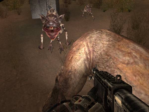 Мои первые скриншоты игры Сталкер Мои первые скриншоты игры Сталкер