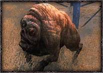 Мутанты из серий игр S.T.A.L.K.E.R.