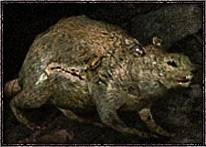 Мутанты из серий игр S.T.A.L.K.E.R.