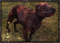 Мутанты из серий игр S.T.A.L.K.E.R.