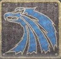 нашивки групировок и нетолько