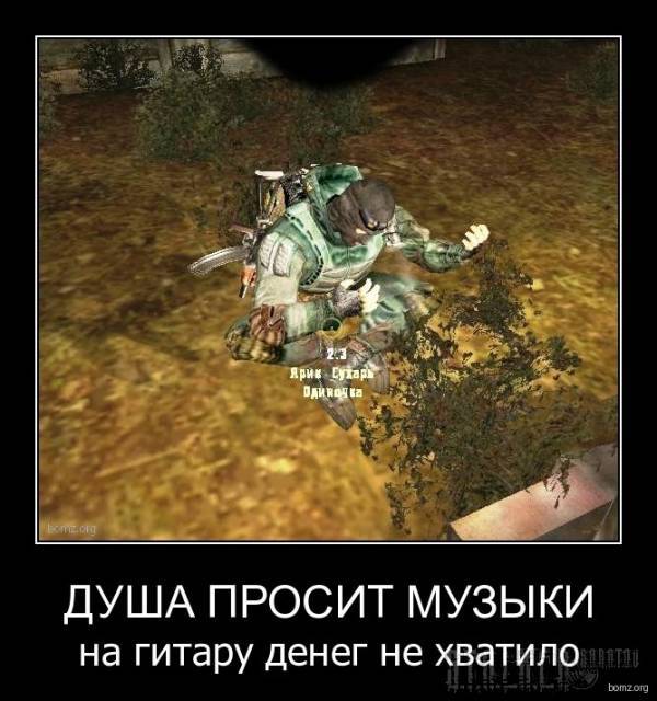 Опять демотиваторы)))