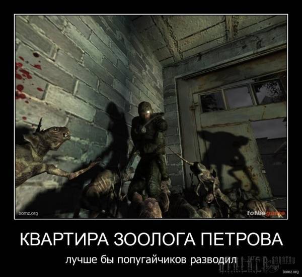 Опять демотиваторы)))